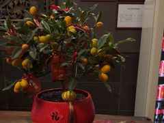 -心足私家足疗SPA(海岸城店)