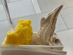 -野人先生现做冰淇淋(北京环宇荟店)