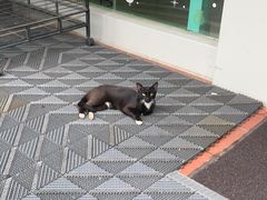 -雨林宠物医院 非犬猫异宠专科