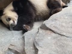 -宁波野生动物园