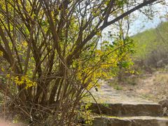 -北京西山国家森林公园