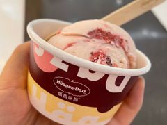 冰淇淋单球-哈根达斯(朝阳大悦城店)