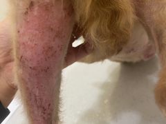 -萌兽医馆·犬猫专科·眼科中心·宠物医院(朝阳门分院)