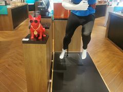 -sundanpulse顺电·脉(海岸城购物中心店)