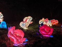 -无锡梅园公园