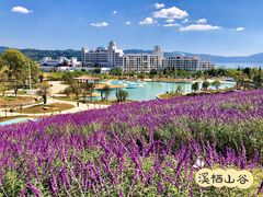 -华侨城阳宗海海景温泉