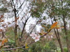 -龙头寺公园