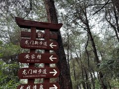 -铁山坪森林公园