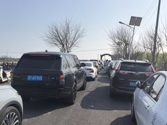 -合肥滨湖国家森林公园