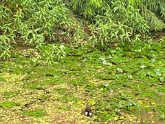 -白塘生态植物园