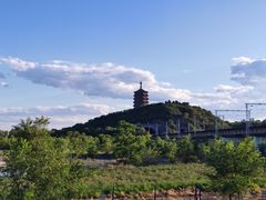 -永定河休闲森林公园