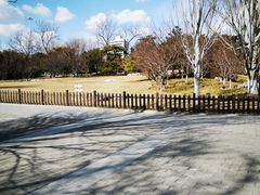 -丰台花园