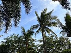 -海南清水湾莱佛士酒店