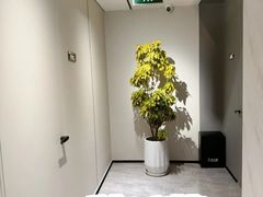 -W·24H茶楼·棋牌·掼蛋(望京店)