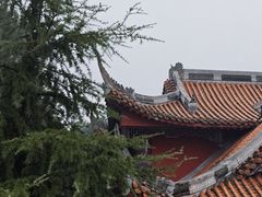 -铁山坪森林公园