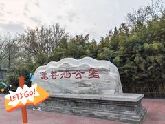 -莲花池公园