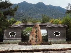 -阳台山自然风景区