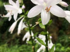 -青岛海滨风景区小鱼山