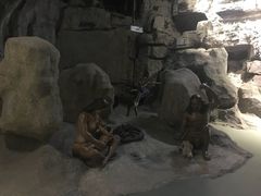 -房山世界地质公园博物馆