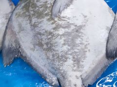 -四道口水产市场