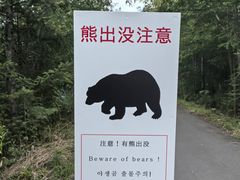 -青池