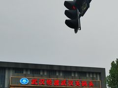 -武汉关码头(轮渡站)