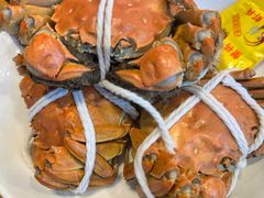 -品鲜村农家菜·阳澄湖大闸蟹(总店)