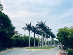 -西安国际创新人才交流中心•药浴温泉