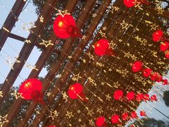 -上海银珠苑度假村-地面停车场