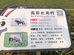 -合肥野生动物园