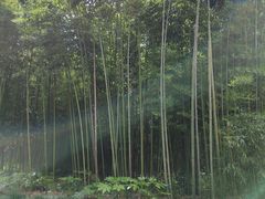 -苏州河梦清园环保主题公园