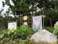 -莲花池公园