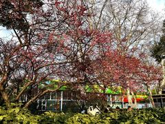 -四川北路(地铁站)