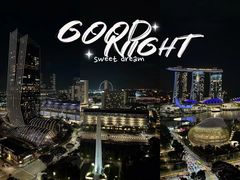 -新加坡瑞士史丹福酒店