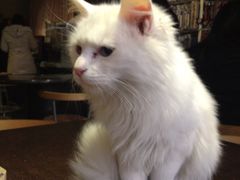 iphone_upload_pic-游人馆·桌游狼人杀团建馆(人广书城店)