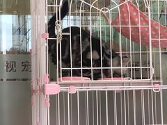 -全心全意连锁动物医院(石景山店)