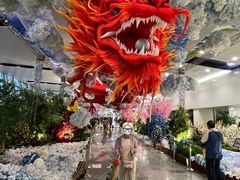 -河内内排国际机场