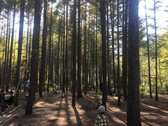 -龙道沟景区