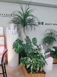 -Lumi露米·美甲美睫品质店