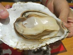 -烧蠔帮·湛江生蚝(工农店)