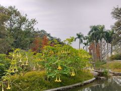 -云溪植物园