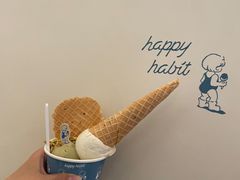 -海比甜店·意式手工冰激淋happy habit gelato
