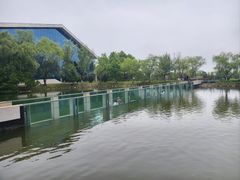-鄱阳湖国家湿地公园