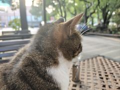 -上海外国语大学(虹口校区)