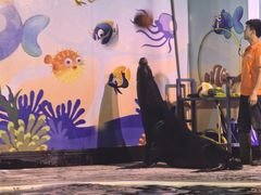 -太平洋海底世界