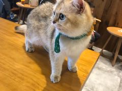 -凯德广场(武胜路店)