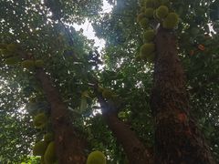 -南宁南湖公园