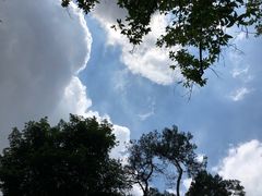 -大洋图文(流花店)