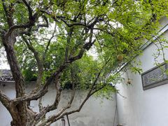 -西园戒幢律寺