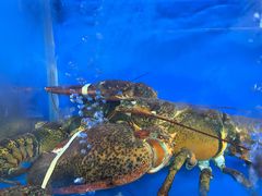 -明本海鲜大排档·鱼生海鲜烧烤宵夜(陈家祠店)